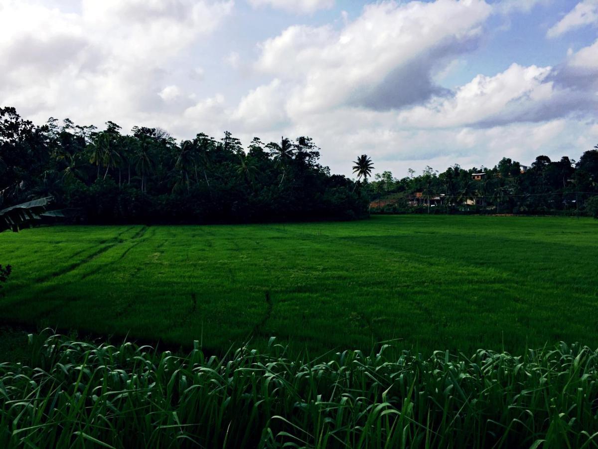 Thaaaru Villa มิริสซา ภายนอก รูปภาพ
